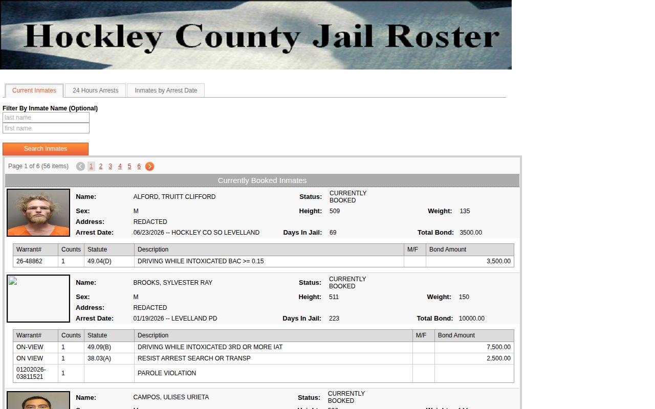 Hockley County jail roster booking search interface